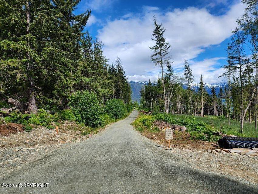 Lot 5 Barnett Street, Haines, Alaska image 9