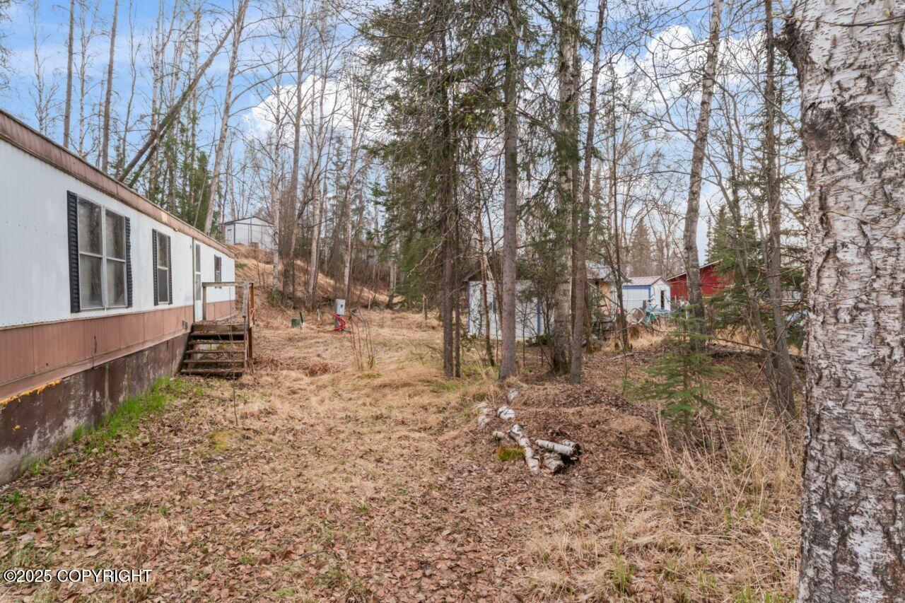 16540 Eleonora Street, Eagle River, Alaska image 8