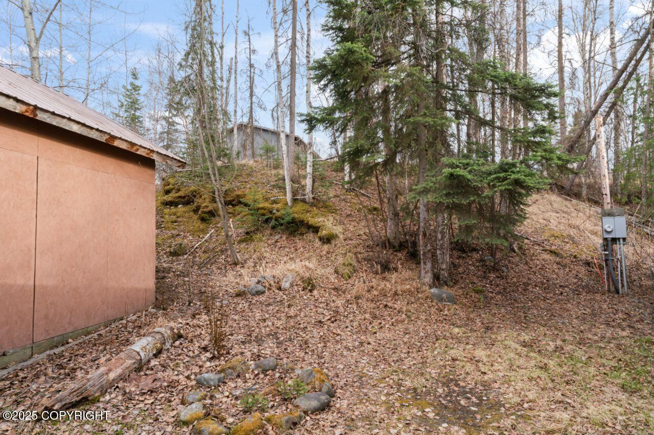 16540 Eleonora Street, Eagle River, Alaska image 7