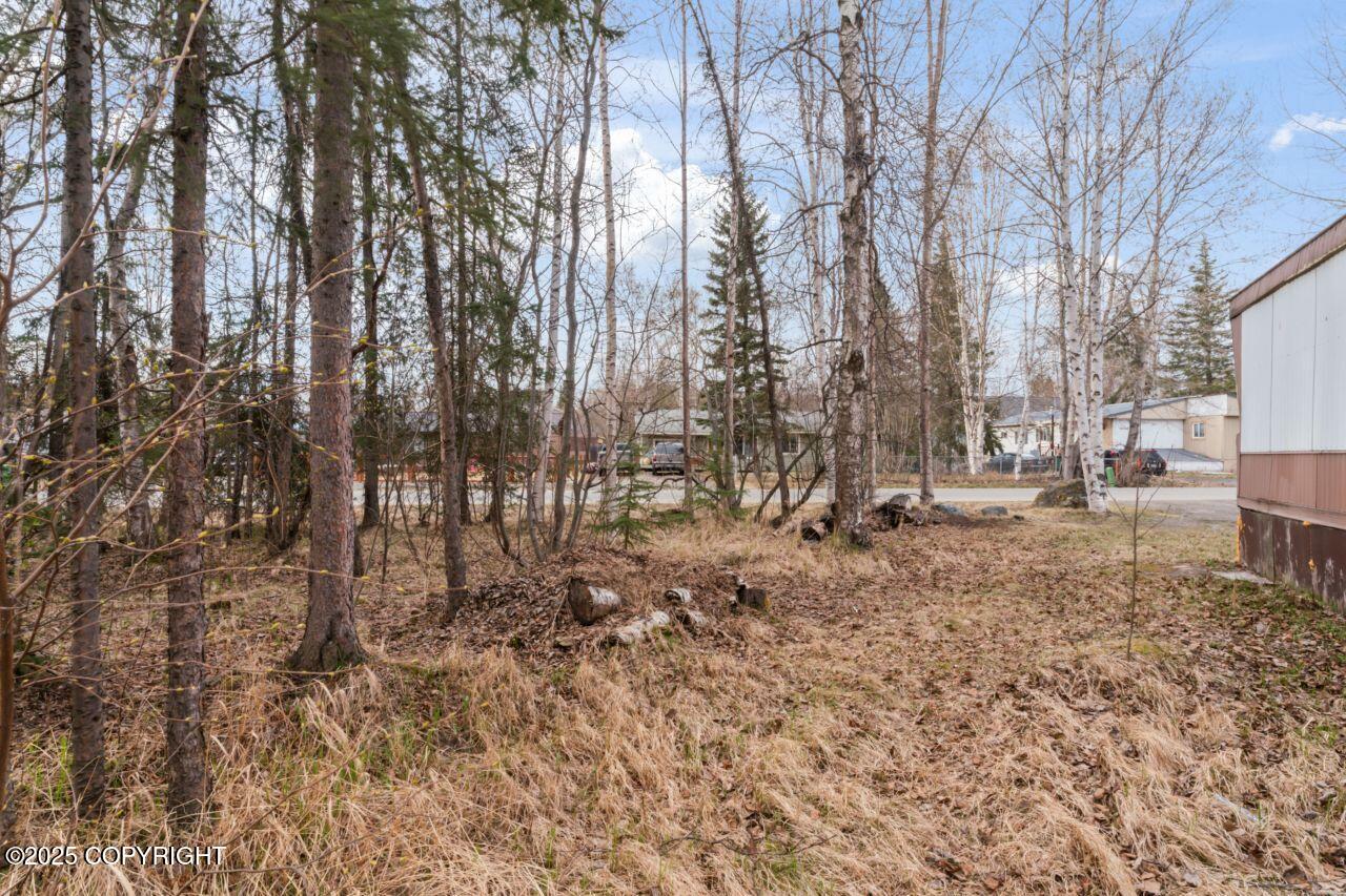 16540 Eleonora Street, Eagle River, Alaska image 9