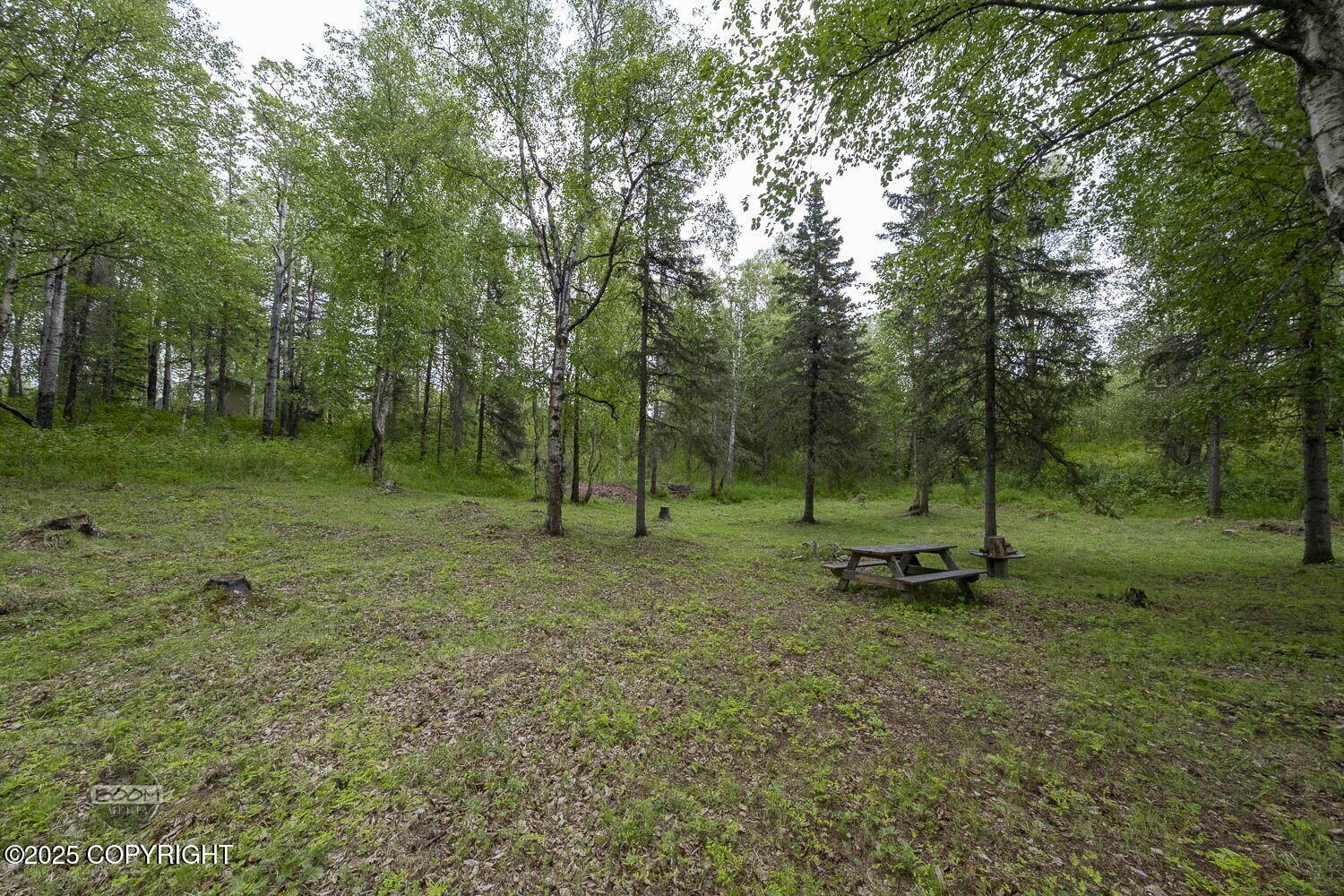5661 N Tahoe Drive, Wasilla, Alaska image 48