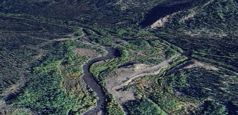 000 No Road Rampart AK 99767