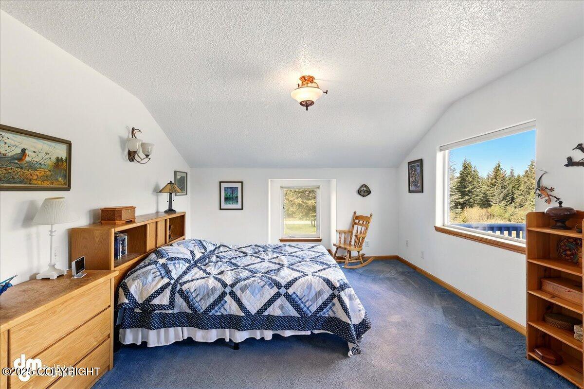 33768 Granross Street, Anchor Point, Alaska image 31