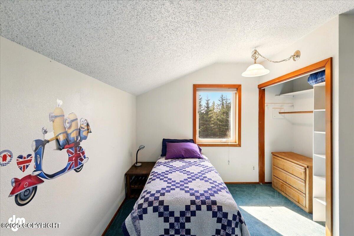 33768 Granross Street, Anchor Point, Alaska image 42