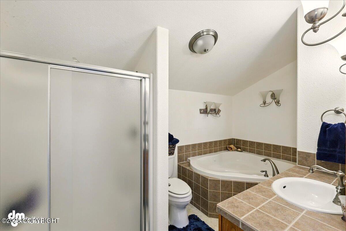 33768 Granross Street, Anchor Point, Alaska image 33