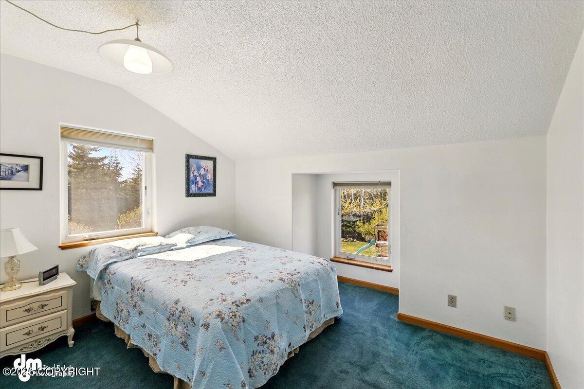 33768 Granross Street, Anchor Point, Alaska image 38
