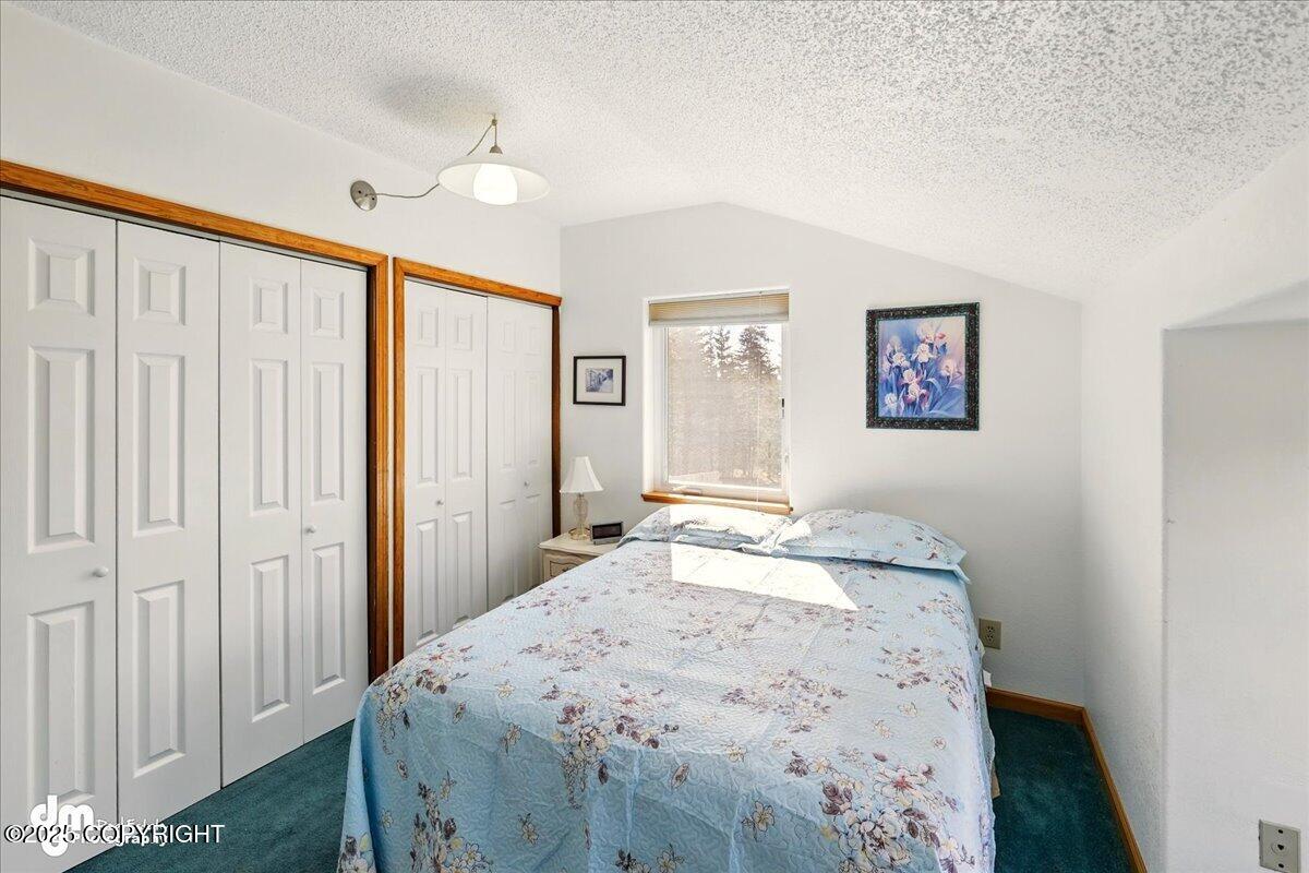 33768 Granross Street, Anchor Point, Alaska image 37
