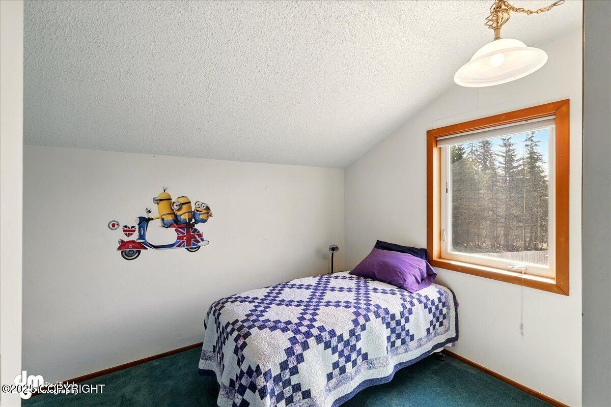 33768 Granross Street, Anchor Point, Alaska image 41
