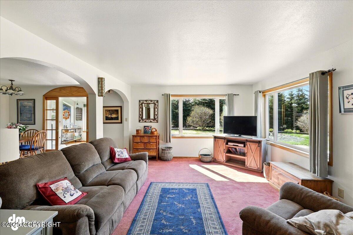 33768 Granross Street, Anchor Point, Alaska image 6