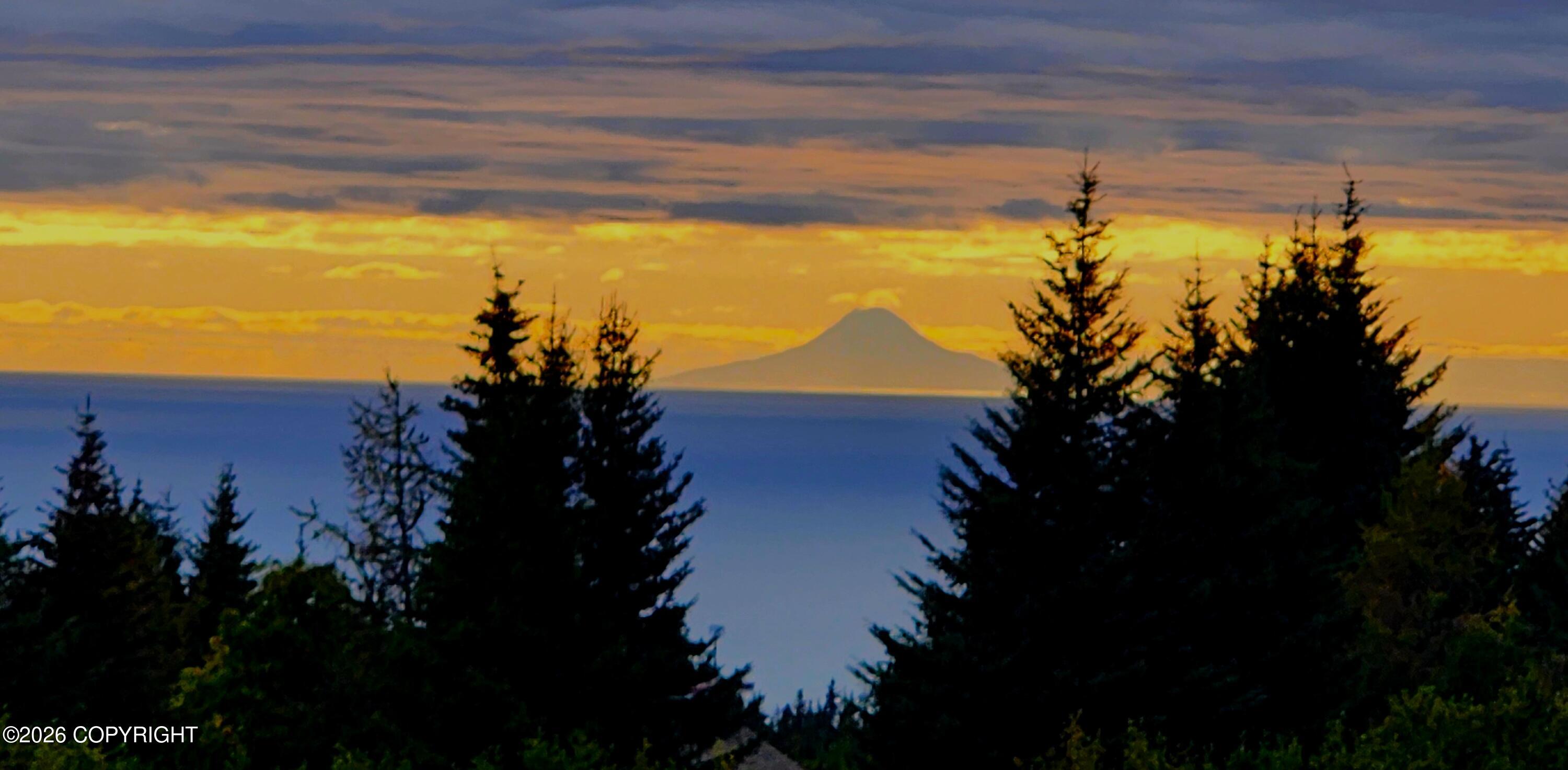 41236 Volcano View Court