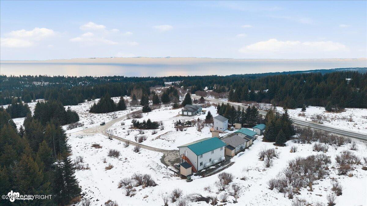 41236 Volcano View Court