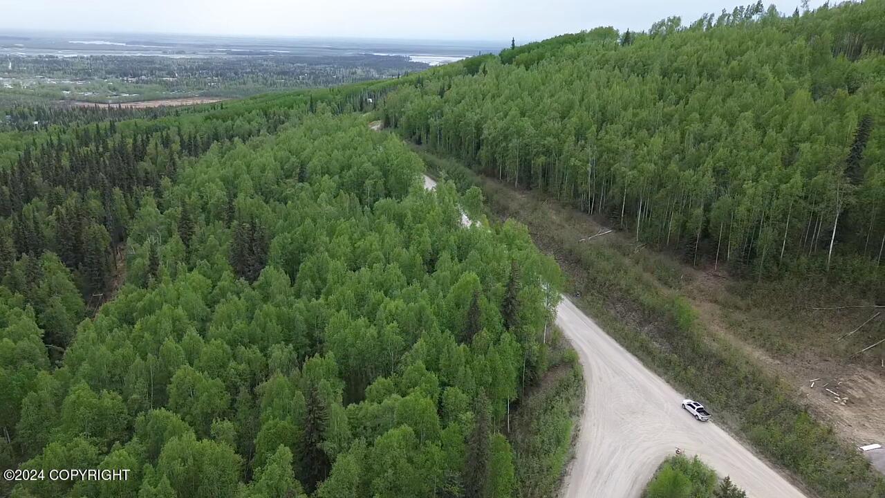 L24 B5 Forrest Drive, Fairbanks, Alaska image 2