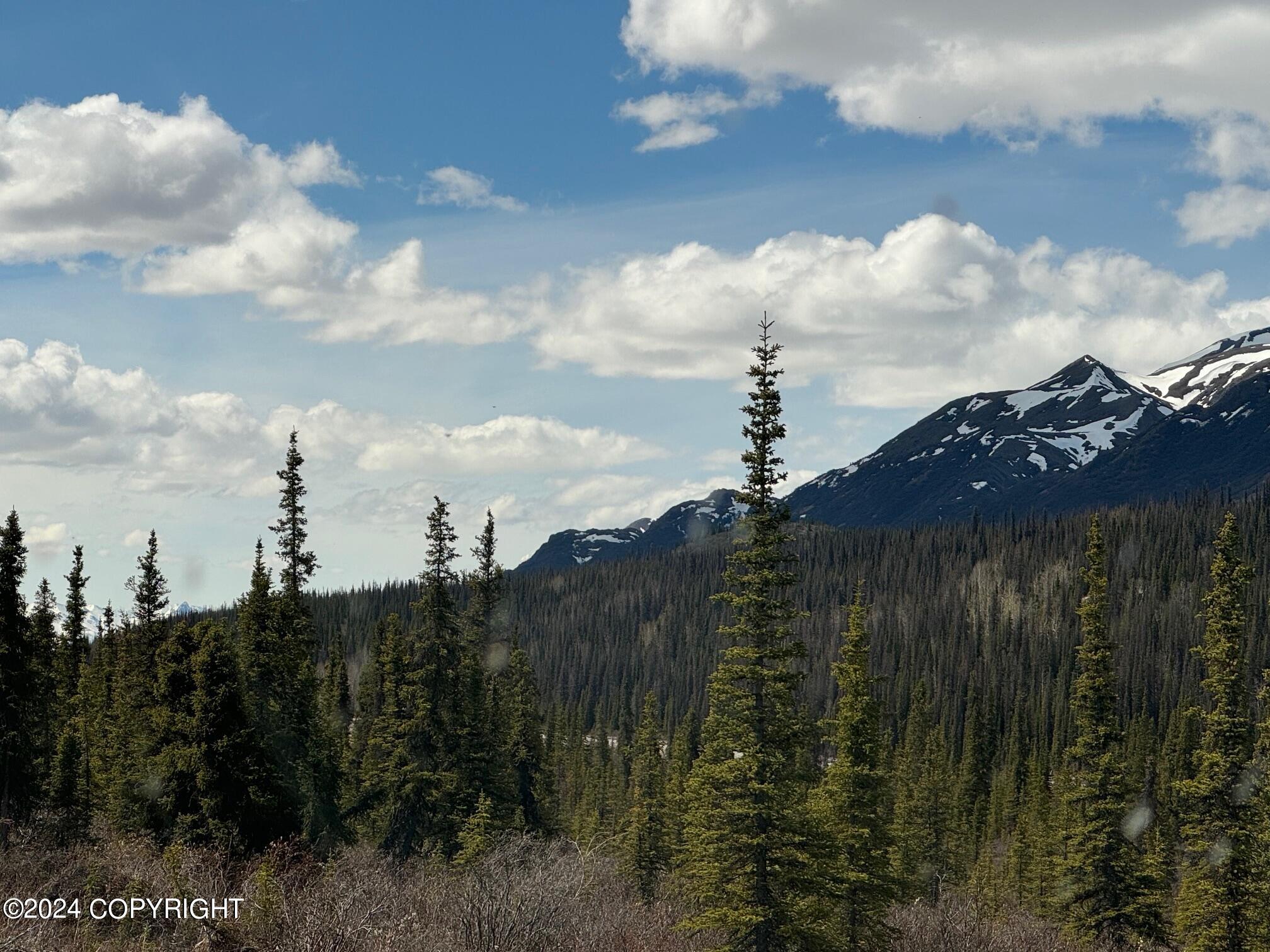 L34 Spontaneous Street, Cantwell, Alaska image 9