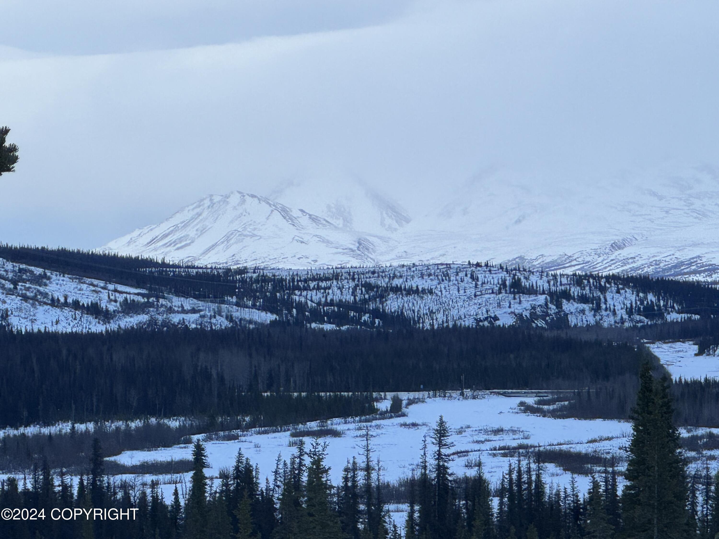 L34 Spontaneous Street, Cantwell, Alaska image 31