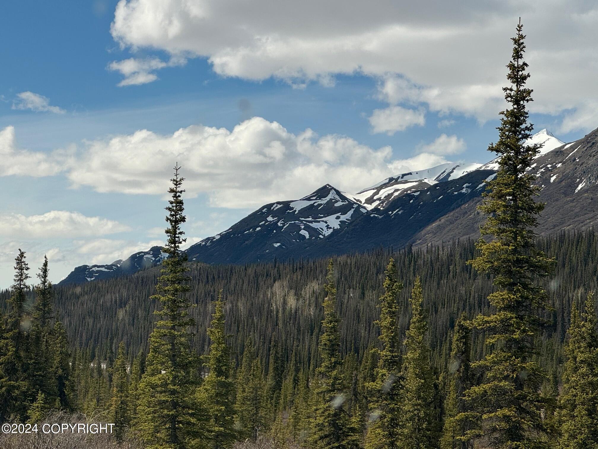 L34 Spontaneous Street, Cantwell, Alaska image 10