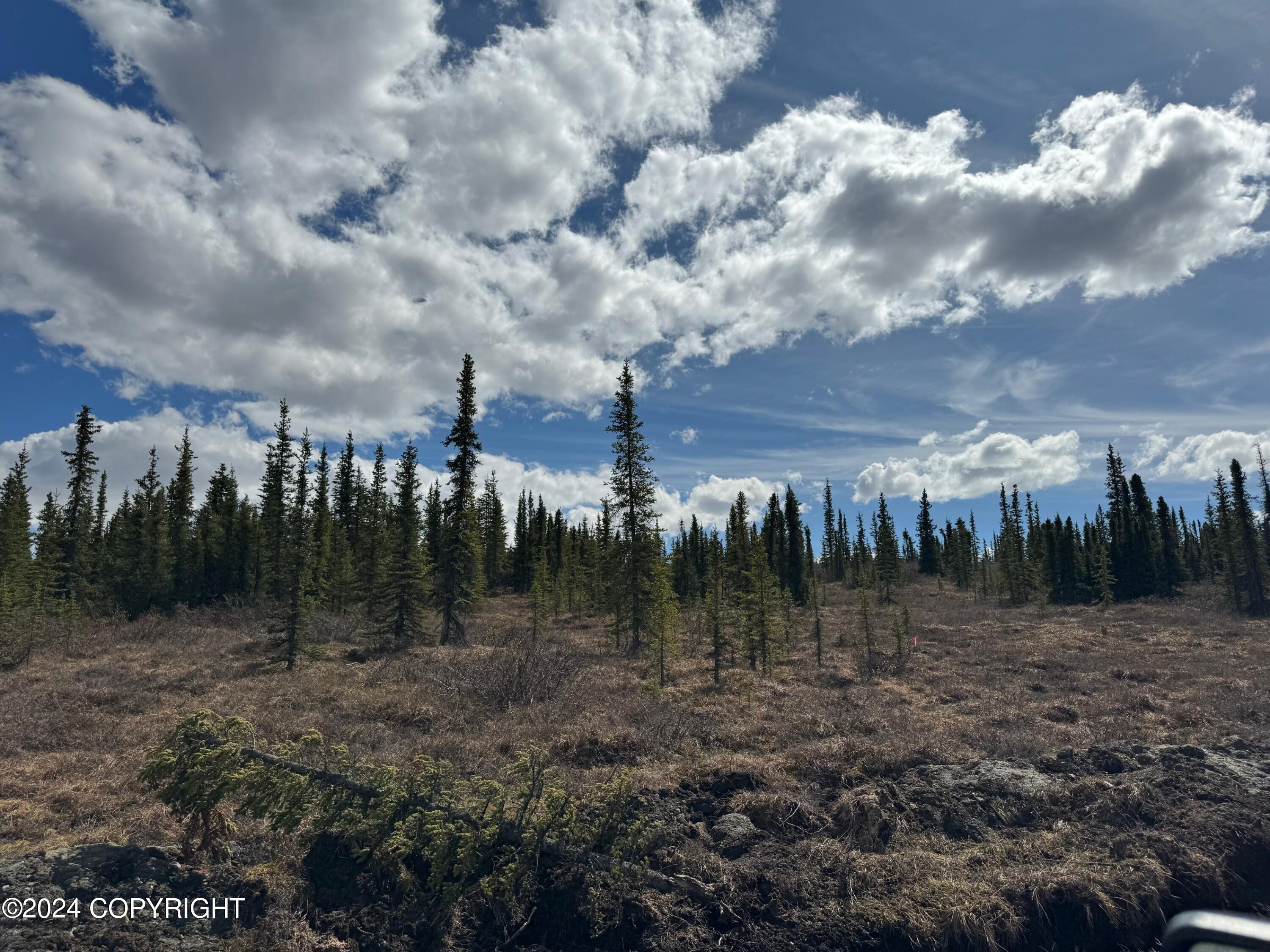 L34 Spontaneous Street, Cantwell, Alaska image 8