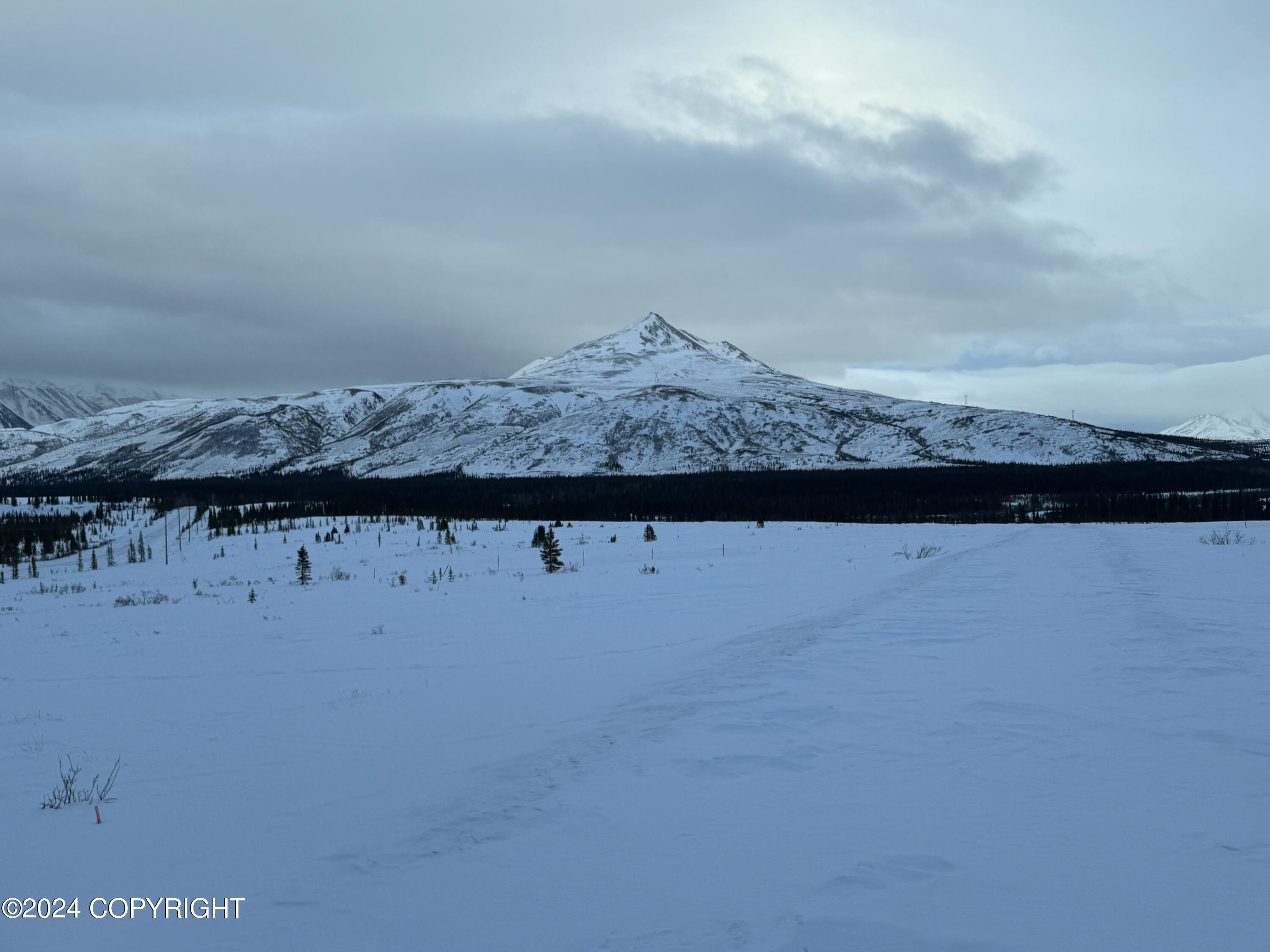 L34 Spontaneous Street, Cantwell, Alaska image 28