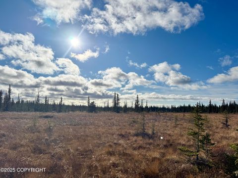 Vacant Land For Sale - 000 Tall Tree Avenue<br/> Anchor Point, AK 99556
