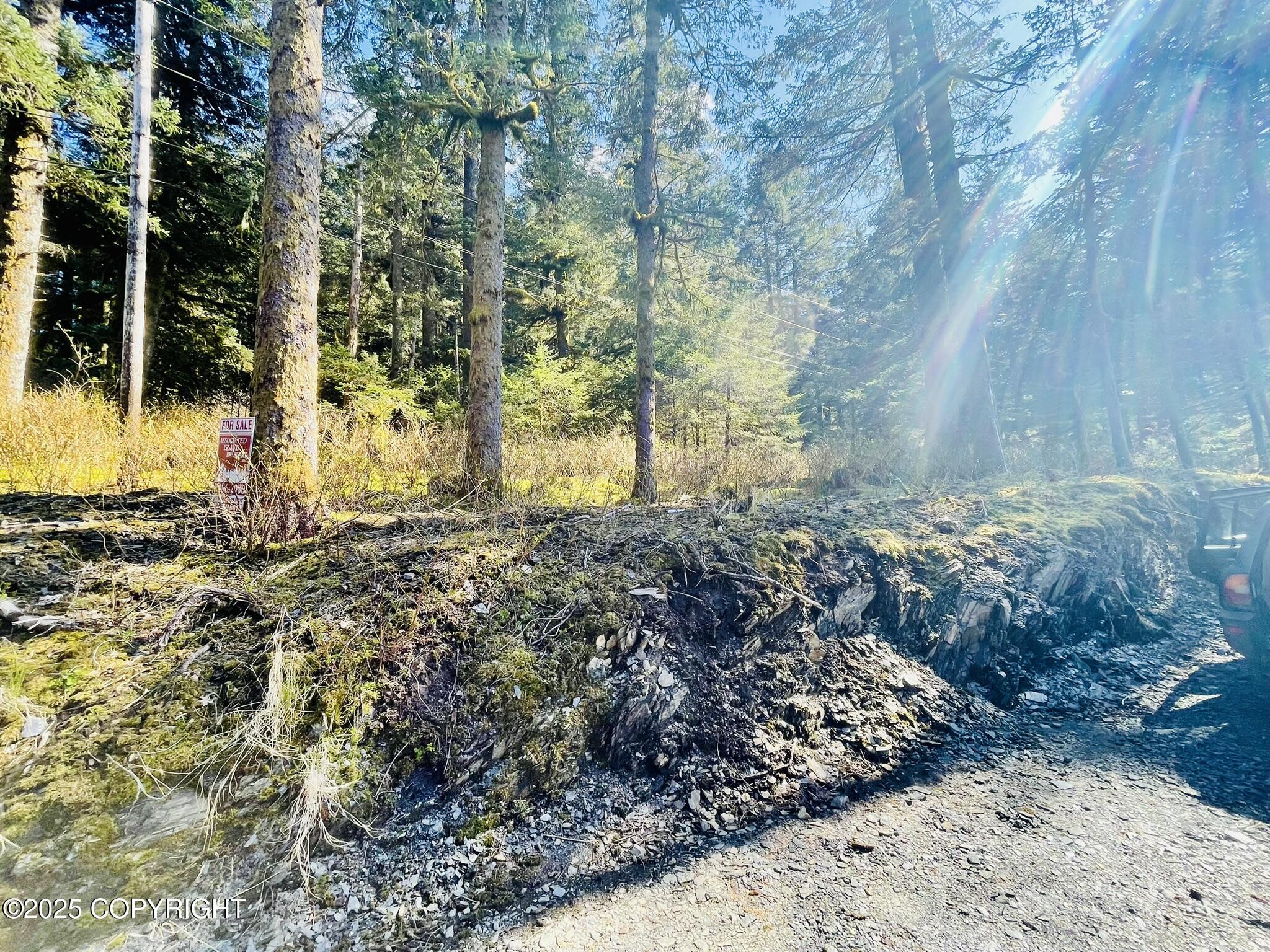 2322 Eagle Drive, Kodiak, Alaska image 3