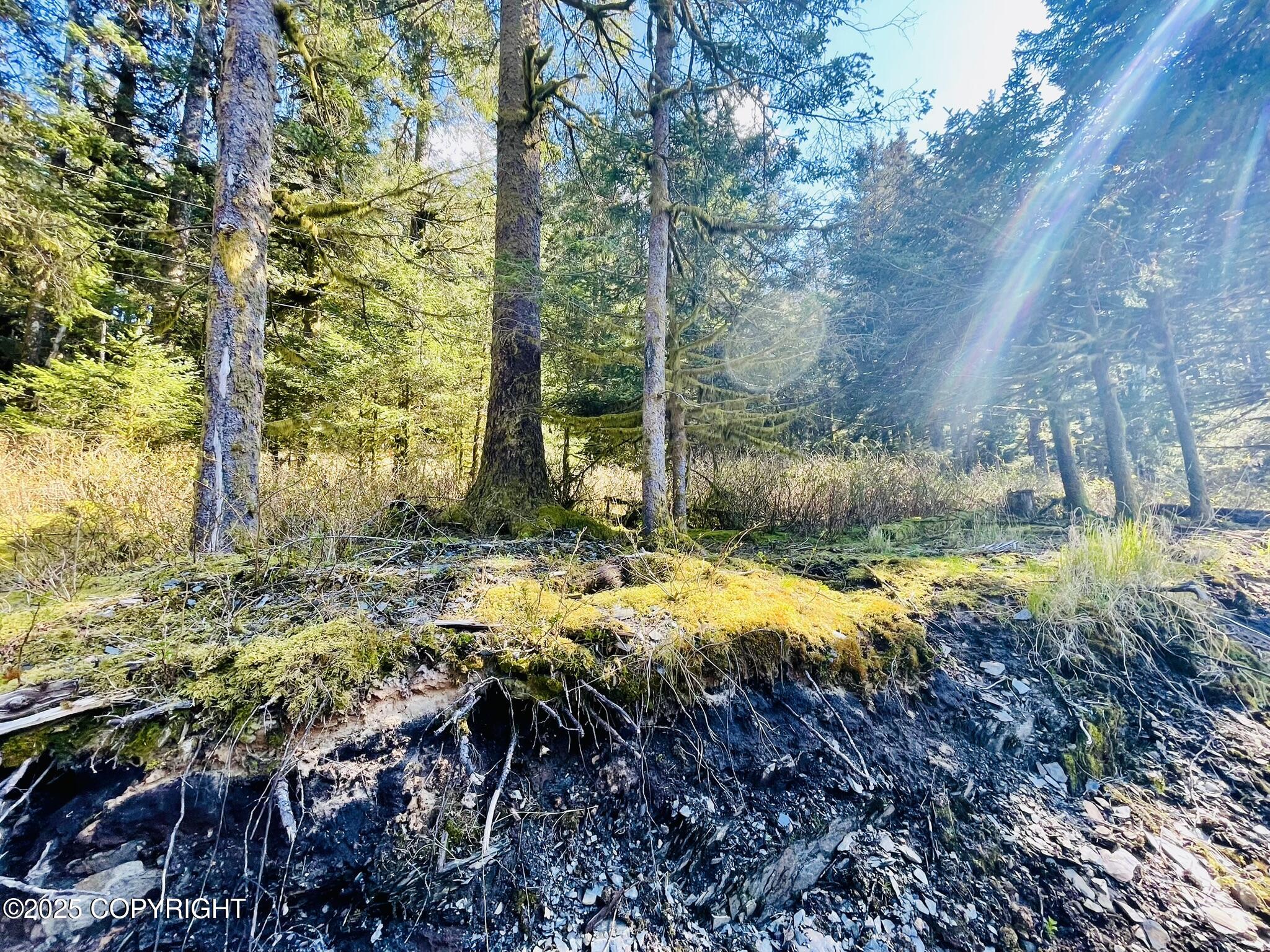 2322 Eagle Drive, Kodiak, Alaska image 4