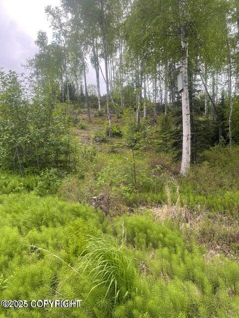 L22 Call Of The Wild Circle, Big Lake, Alaska image 7