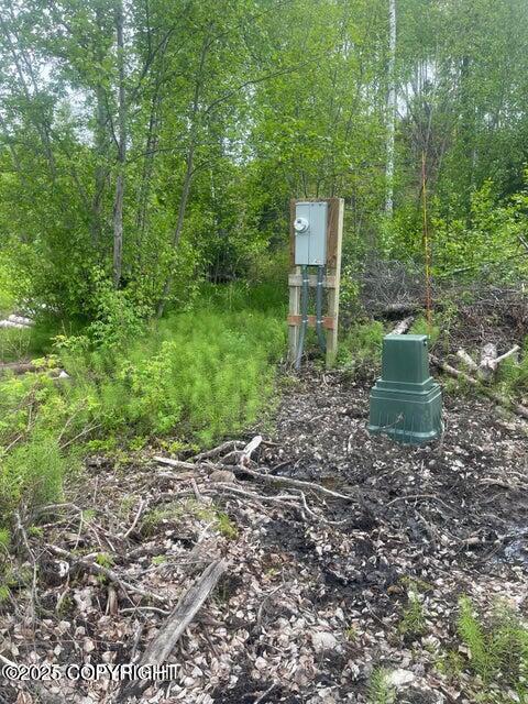 L22 Call Of The Wild Circle, Big Lake, Alaska image 8