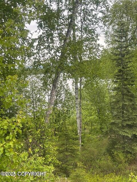 L22 Call Of The Wild Circle, Big Lake, Alaska image 3