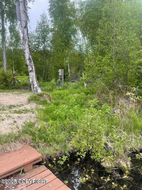L22 Call Of The Wild Circle, Big Lake, Alaska image 9