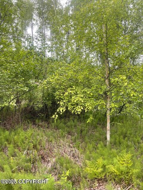 L22 Call Of The Wild Circle, Big Lake, Alaska image 5