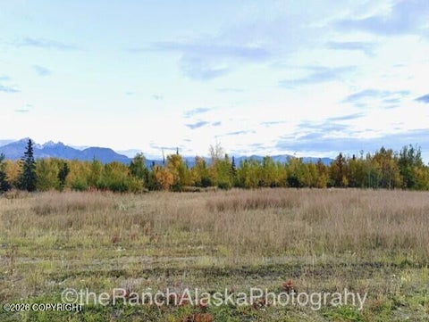 Vacant Land For Sale - 5560 E Forever View Circle<br/> Wasilla, AK 99654