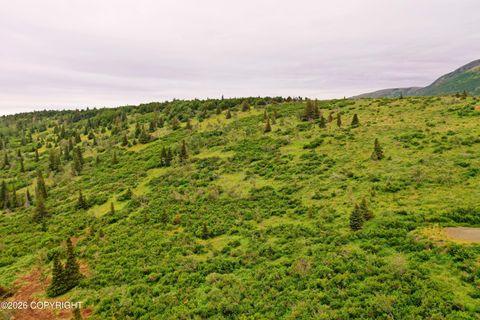 Vacant Land For Sale - L12 B3 Snow Bear Drive<br/> Anchorage, AK 99516