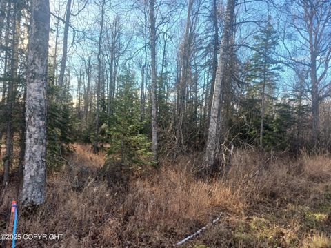 Photo of NHN-Lot 1 S Gon Fishin Drive, Wasilla, AK 99623 (MLS # 25-13519) Photo of NHN-Lot 1 S Gon Fishin Drive, Wasilla, AK 99623 (MLS # 25-13519)