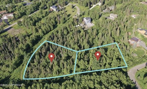 Vacant Land For Sale - 000 Von Scheben Drive<br/> Anchorage, AK 99516