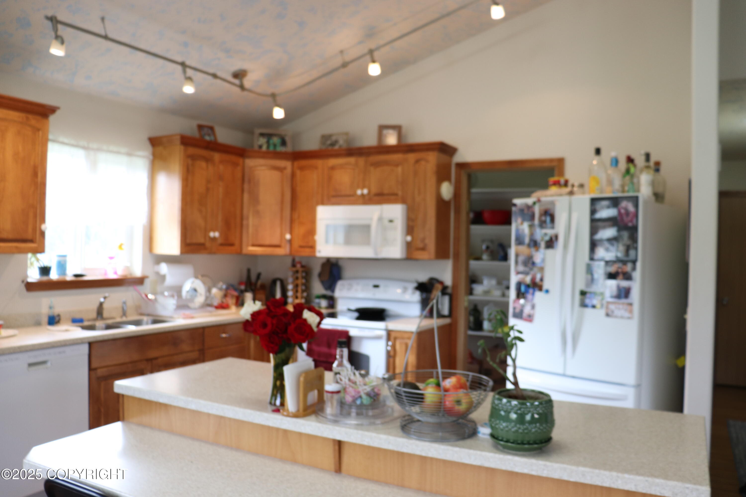 64310 Bolotna Road, Anchor Point, Alaska image 11
