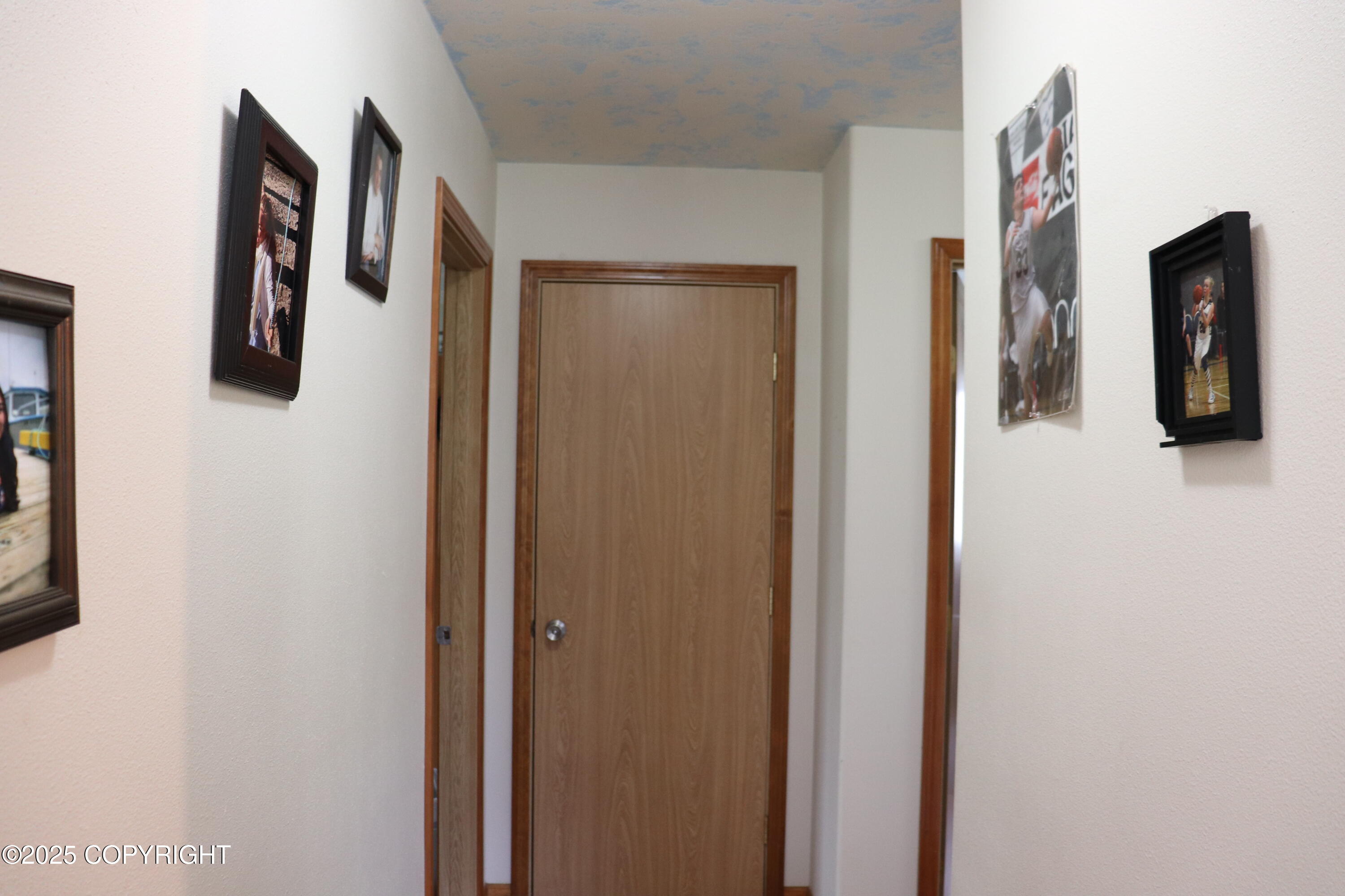 64310 Bolotna Road, Anchor Point, Alaska image 19