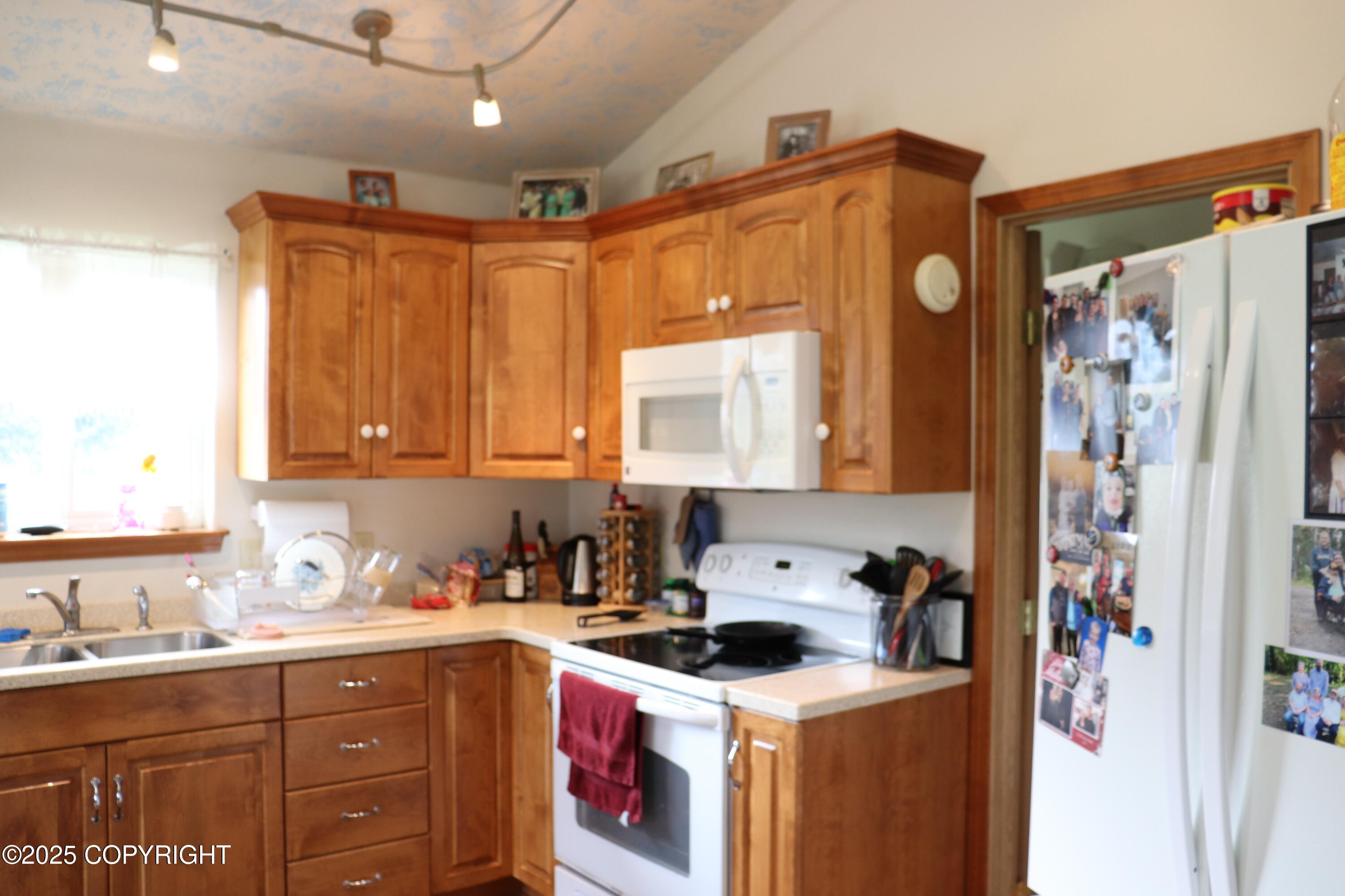 64310 Bolotna Road, Anchor Point, Alaska image 12