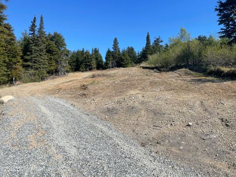 Vacant Land For Sale - L22 Lost Horizon Drive<br/> Anchorage, AK 99516