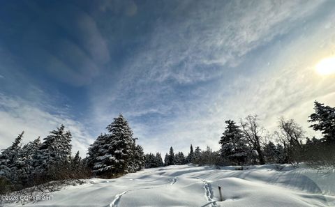 Photo of L22 Lost Horizon Drive, Anchorage, AK 99516 (MLS # 26-3754)