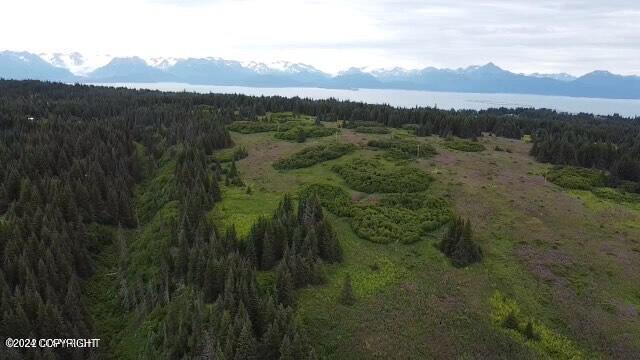 61189 Master Avenue, Homer, Alaska image 2