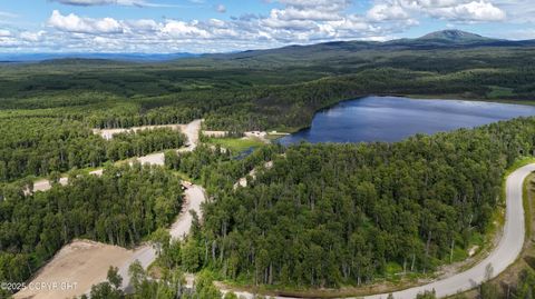 Vacant Land For Sale - 26137 S Gadol Drive<br/> Talkeetna, AK 99676