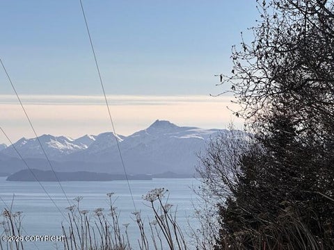 Vacant Land For Sale - 500 Paintbrush Court<br/> Homer, AK 99603