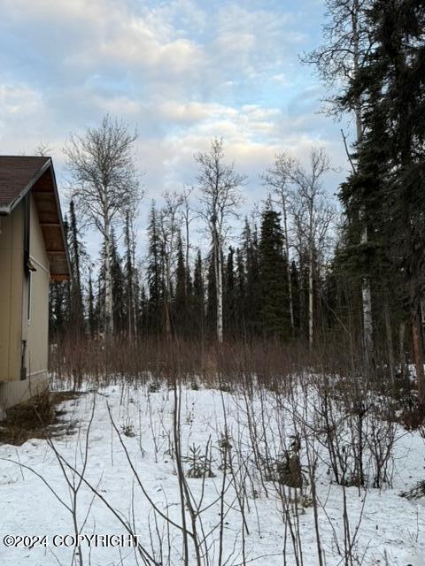 3975 N Maid Marian Drive, Houston, Alaska image 23