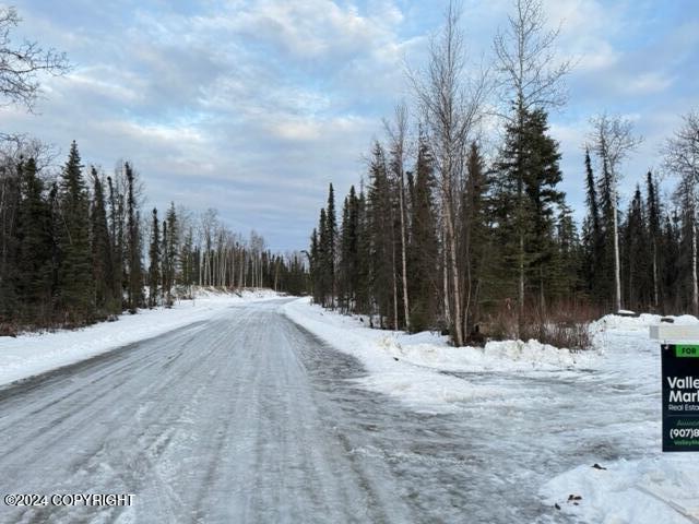 3975 N Maid Marian Drive, Houston, Alaska image 29