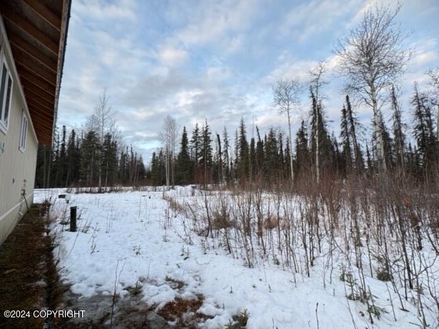 3975 N Maid Marian Drive, Houston, Alaska image 24