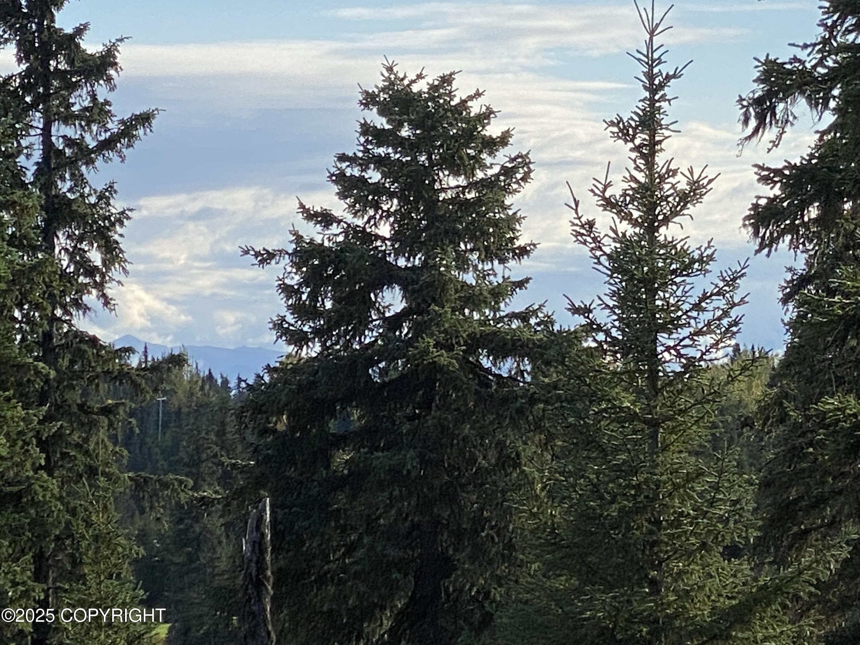 Anchor Point, Alaska 99556, United States, 1 Bedroom Bedrooms, ,1 BathroomBathrooms,Residential,Active,203035