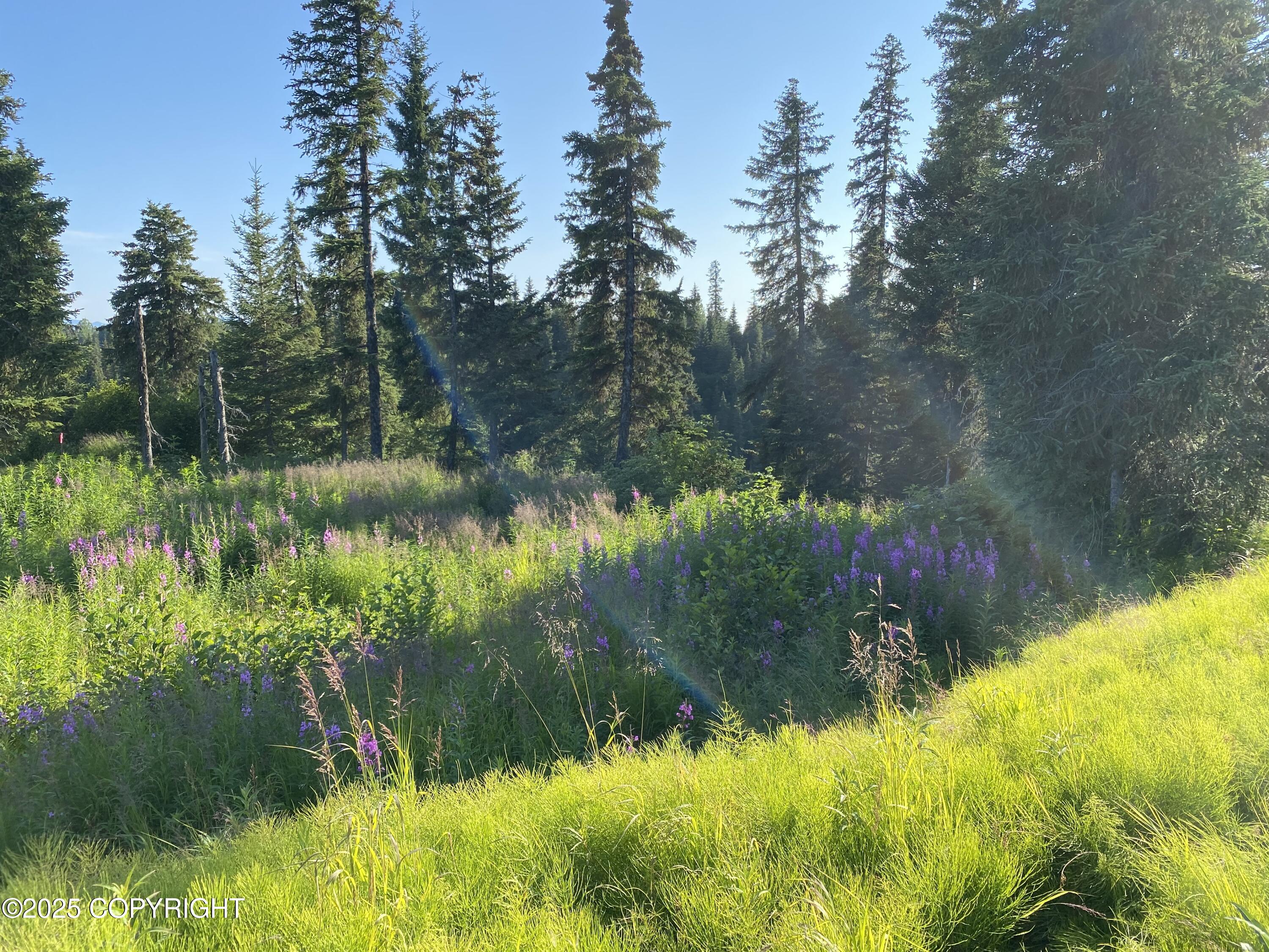 Anchor Point, Alaska 99556, United States, 1 Bedroom Bedrooms, ,1 BathroomBathrooms,Residential,Active,203035