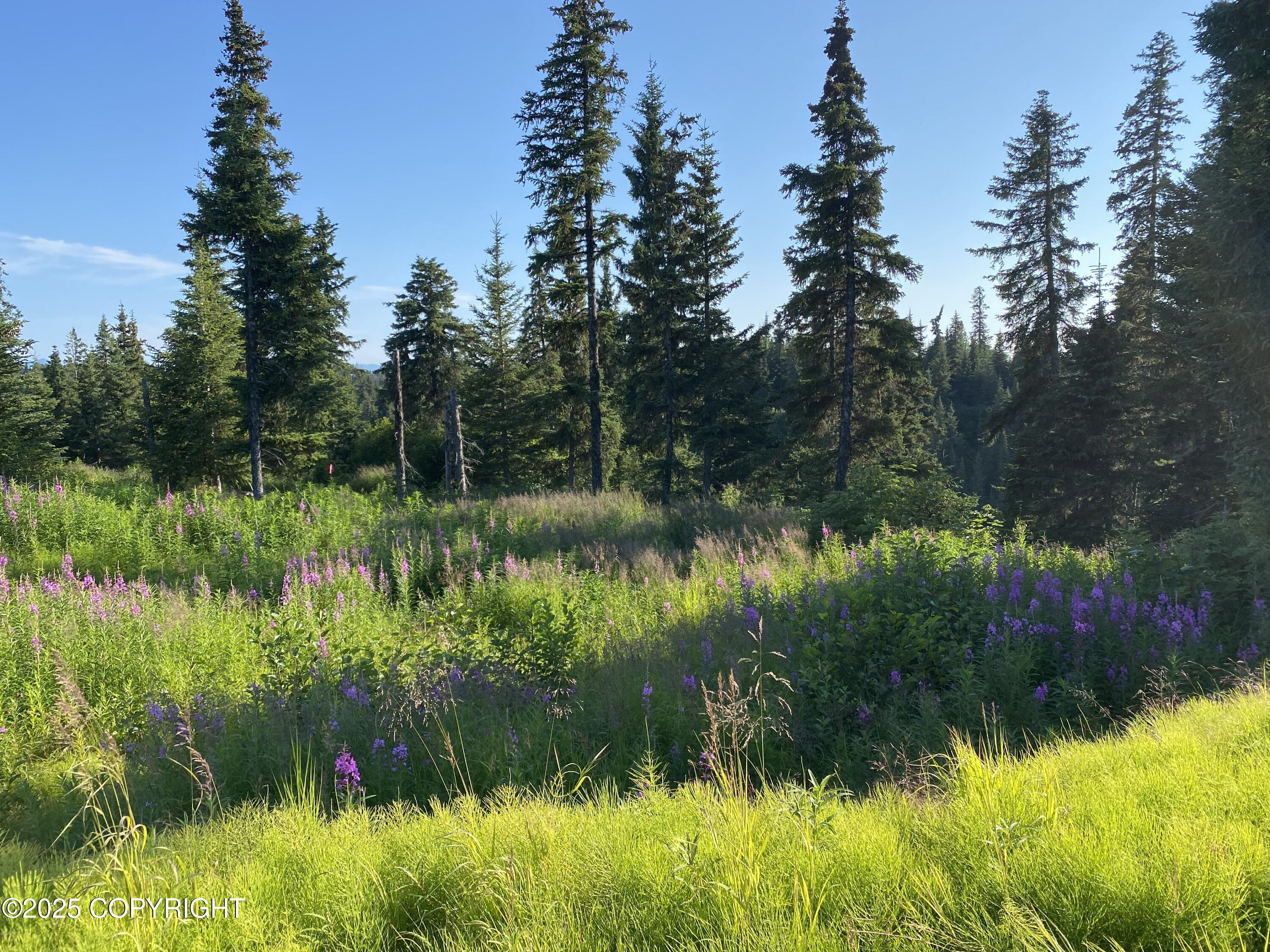 Anchor Point, Alaska 99556, United States, 1 Bedroom Bedrooms, ,1 BathroomBathrooms,Residential,Active,203035