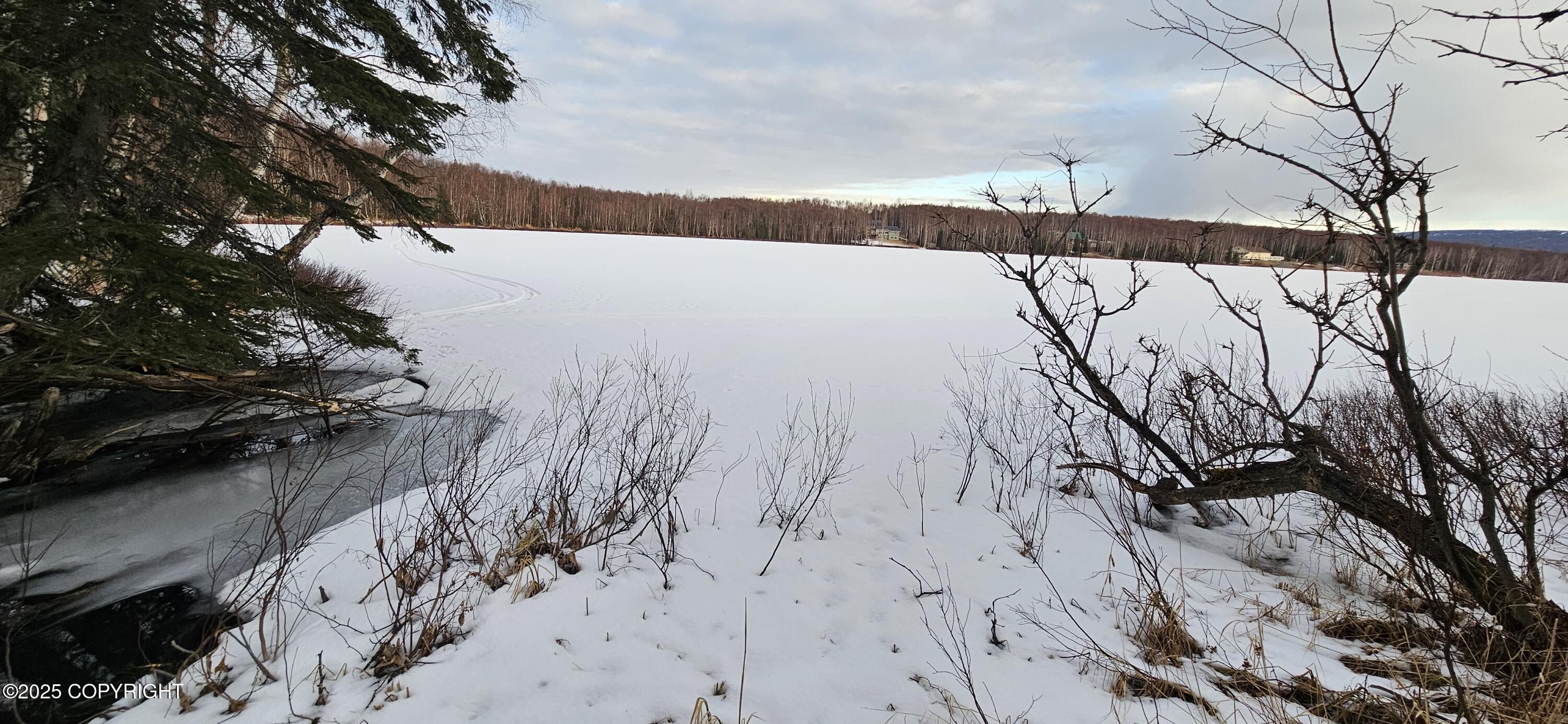 Wasilla, Alaska 99654, United States, ,Land,Active,94917