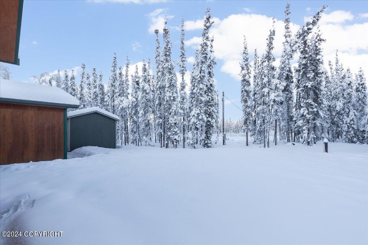 3635 Preston Drive, North Pole, Alaska image 33