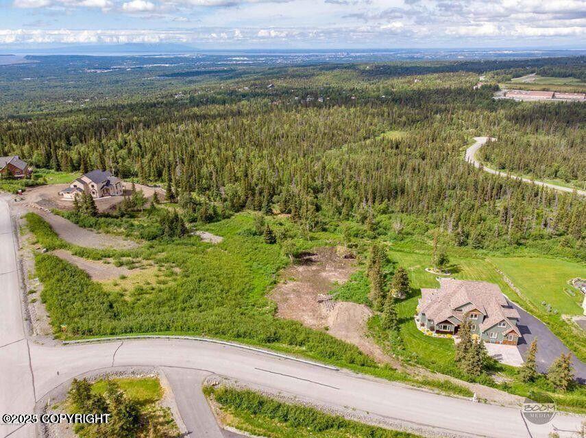 16074 Mountain Air Drive